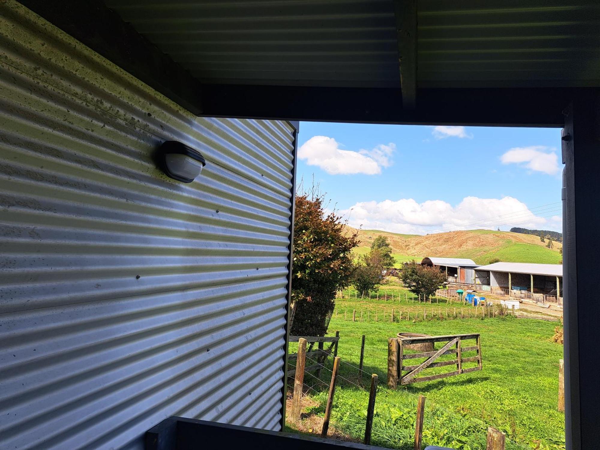 Crinkly Cottage Te Kuiti Exterior foto